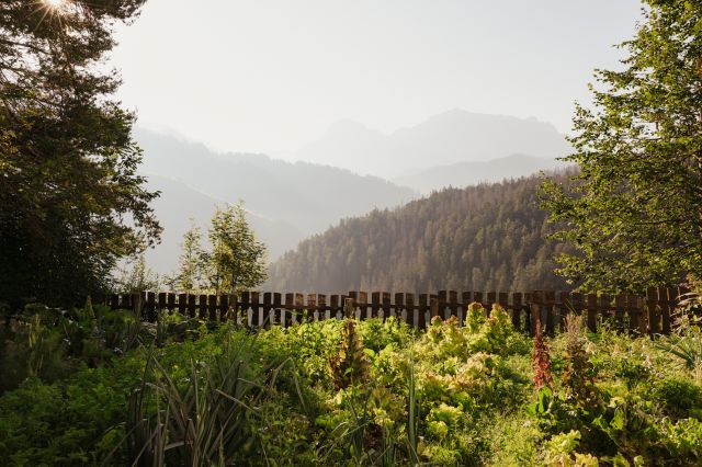 Image: Summer holidays in Val Badia