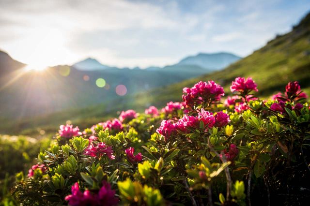 Image: Hikes in Alta Badia