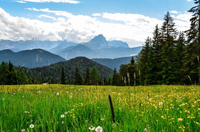 Immagine: Vacanze estive con la famiglia nelle Dolomiti